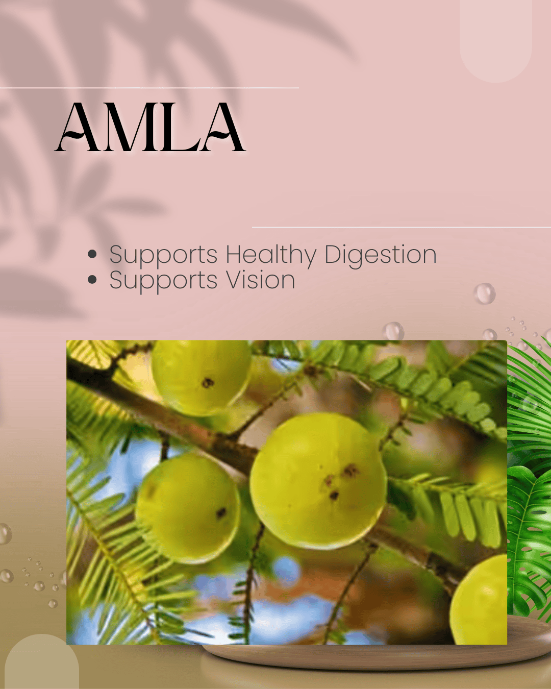 Fast Ways to Increase Metabolism Amla
