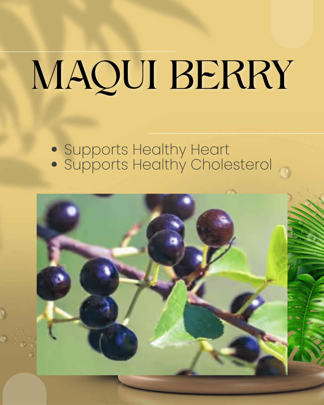 Fast Ways to Increase Metabolism Maqui