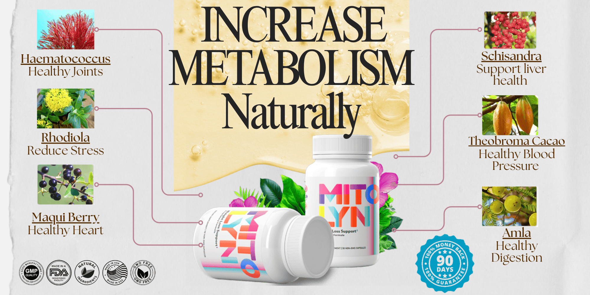 fast ways to increase metabolism banner fast ways to increase metabolism banner
