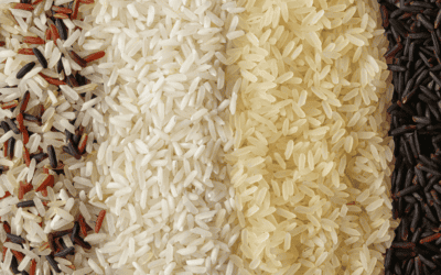 Is Basmati Rice Fattening? Find the Technical Discussion