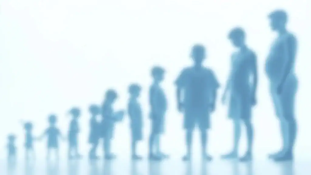 Childhood Obesity Rate In America