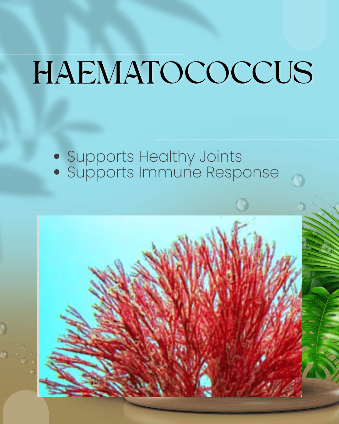 Fast Ways to Increase Metabolism Haemat