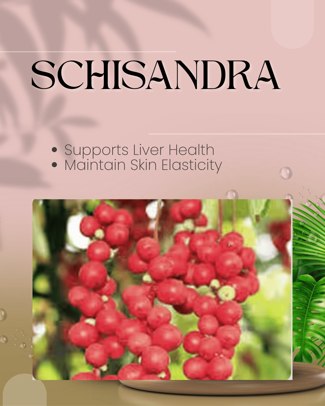 Fast Ways to Increase Metabolism Schisandra